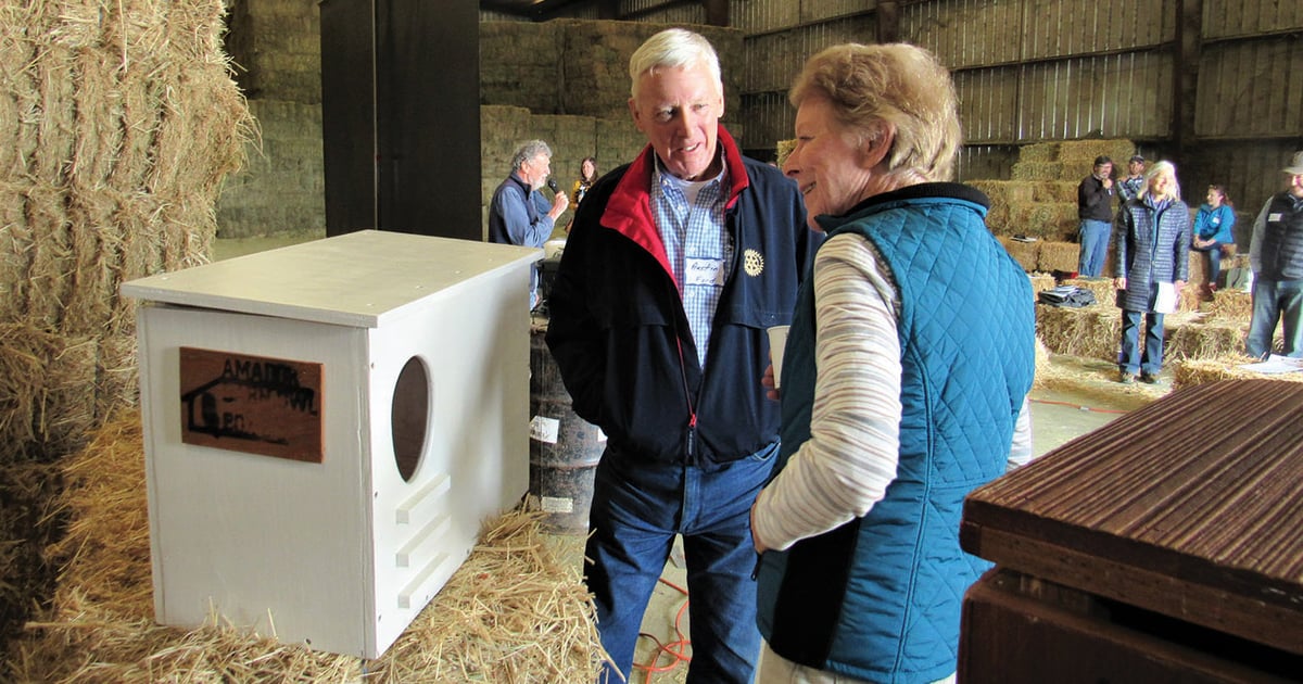 Growers learn about rodent-eating birds on farms