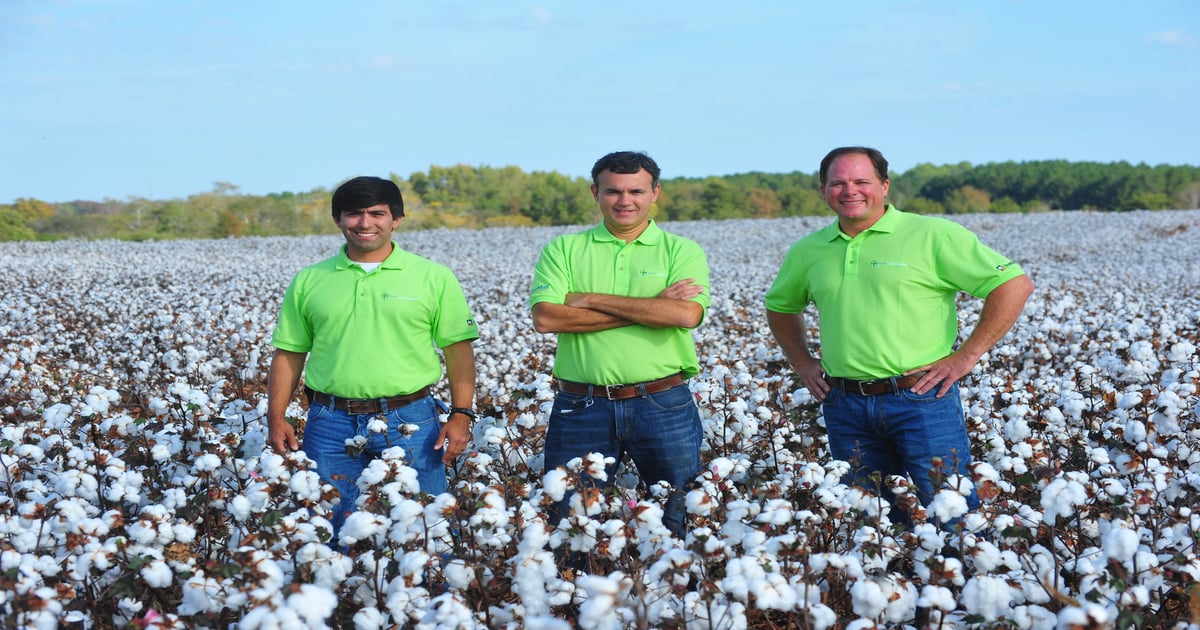 Bayer moves cotton breeding program to south Georgia