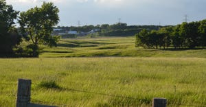 green grassy farm landscape