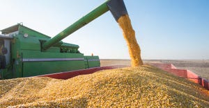 Combine auger unloading corn into a grain truck.
