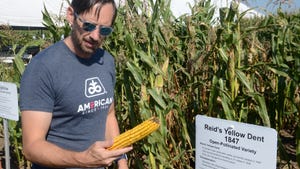 Mark Jeschke holds an ear of Reid’s yellow dent corn Feat
