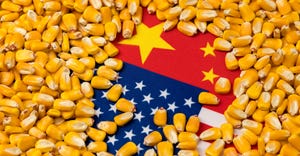Flags of China and United States of America covered in corn kernels. Concept of Chinese and American agriculture imports, exp