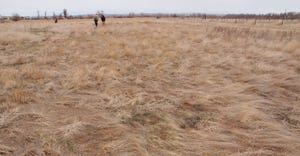photo of a plot was taken April 2, 2015, at the start of the University of Wyoming Cheatgrass Challenge
