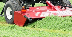 mower cutting forages