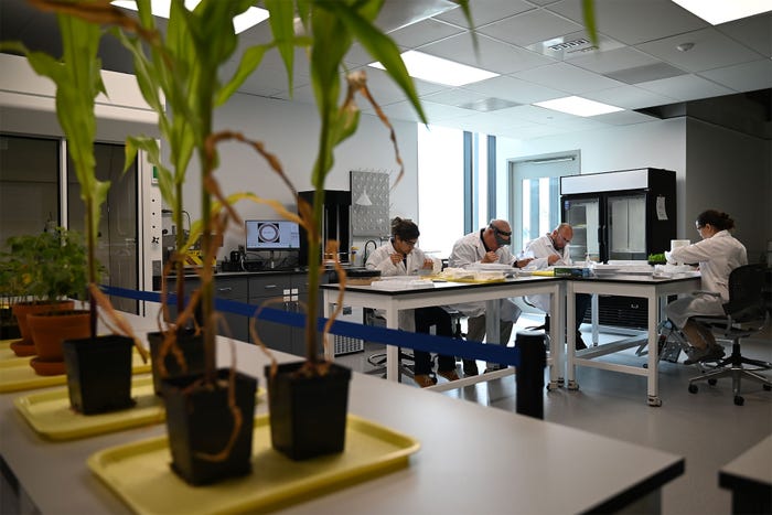 4 scientists in white lab coats working at a table in a lab with plants along one side of the room
