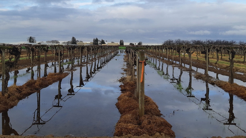 vineyard aquifers