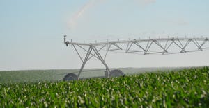 Pivot irrigation in corn field