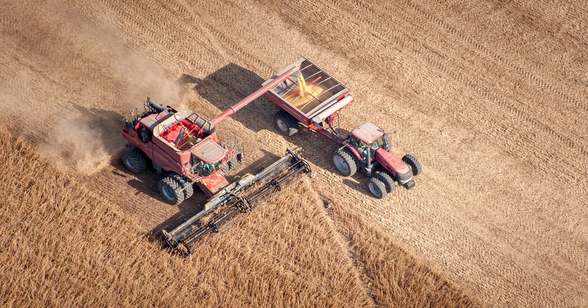 September WASDE: Historically huge crops still anticipated