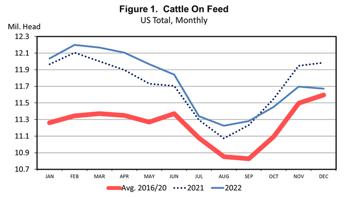 Cattle on Feed 12.22.png