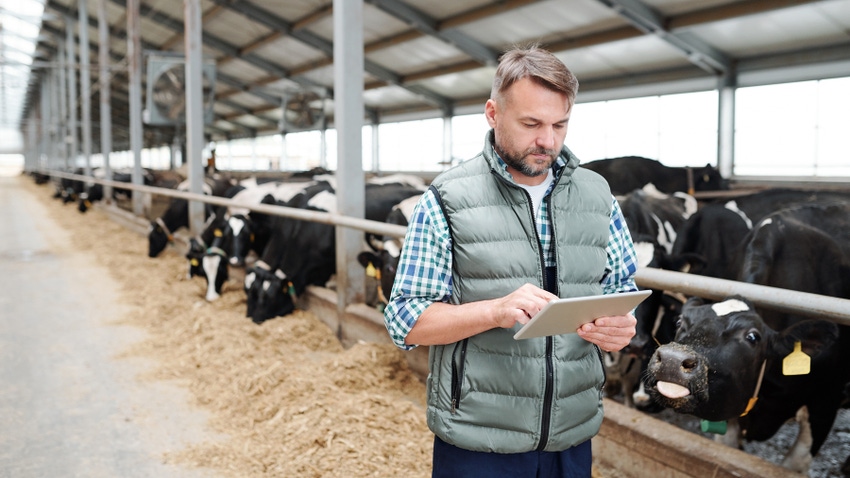male farmer working on tablet while standing in dairy barn male farmer working on tablet while standing in dairy barn