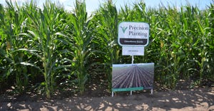 Precision Planting corn plot