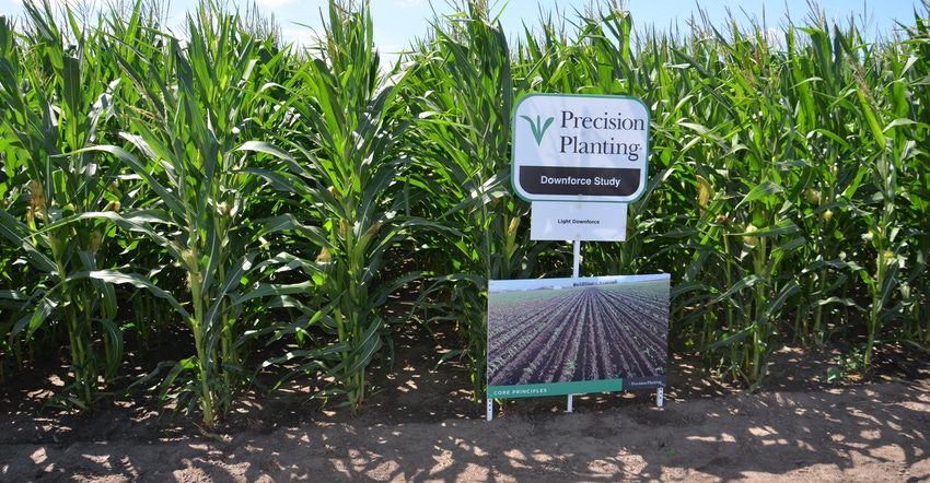 Precision Planting corn plot Precision Planting corn plot