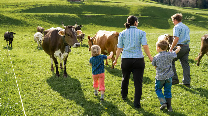 What Switzerland gets right about farm succession
