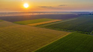 Farm fields at sunset
