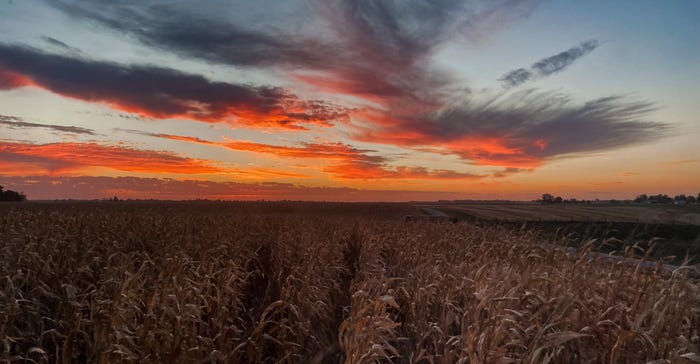 sun paints the sky orange, red, purple and blue above a cornfield at sunset