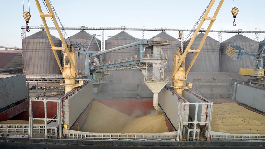 Filling ship with grain for export
