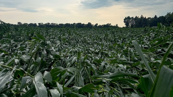 Indiana derecho damage: What can you do?