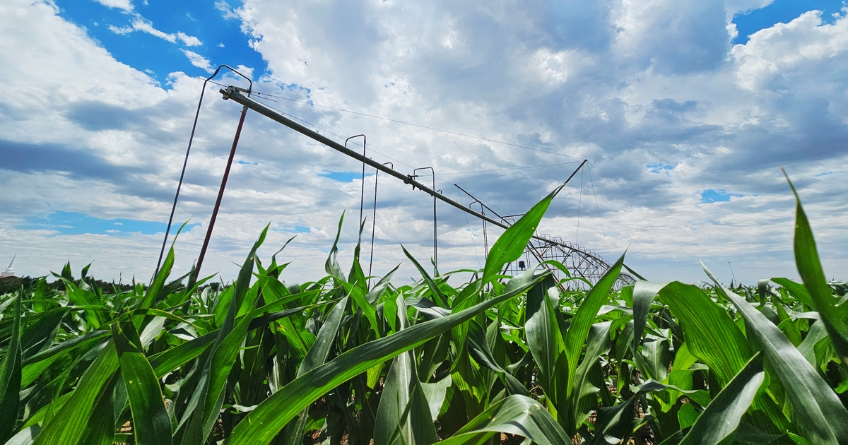 Significant changes coming to Texas Right To Farm statute