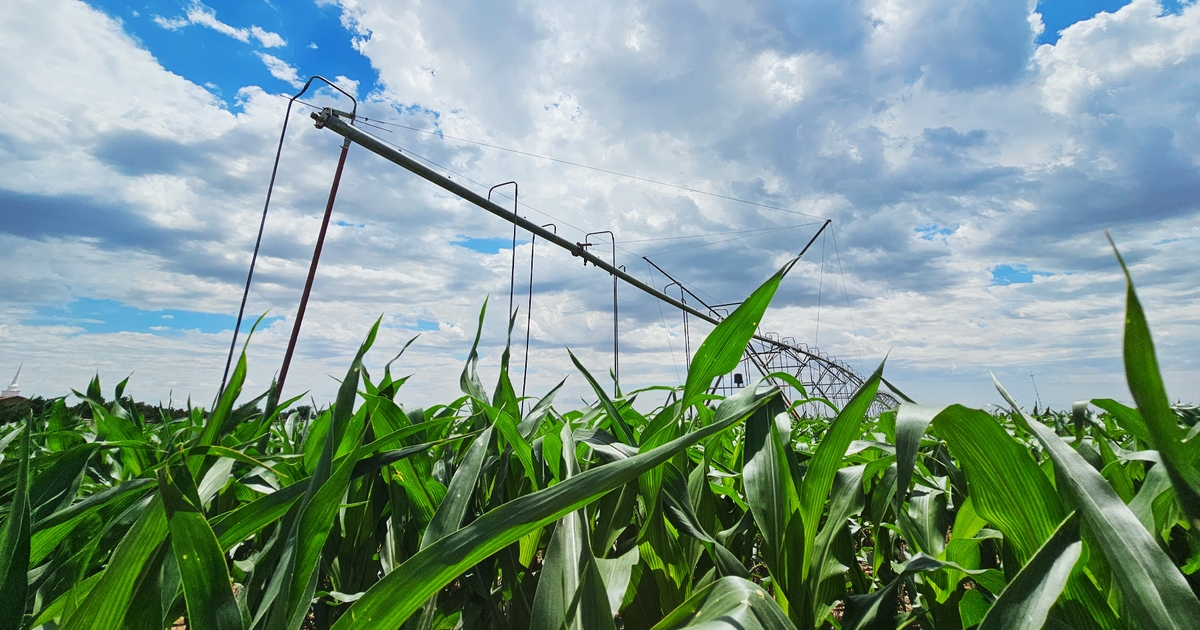 Significant changes coming to Texas Right To Farm statute