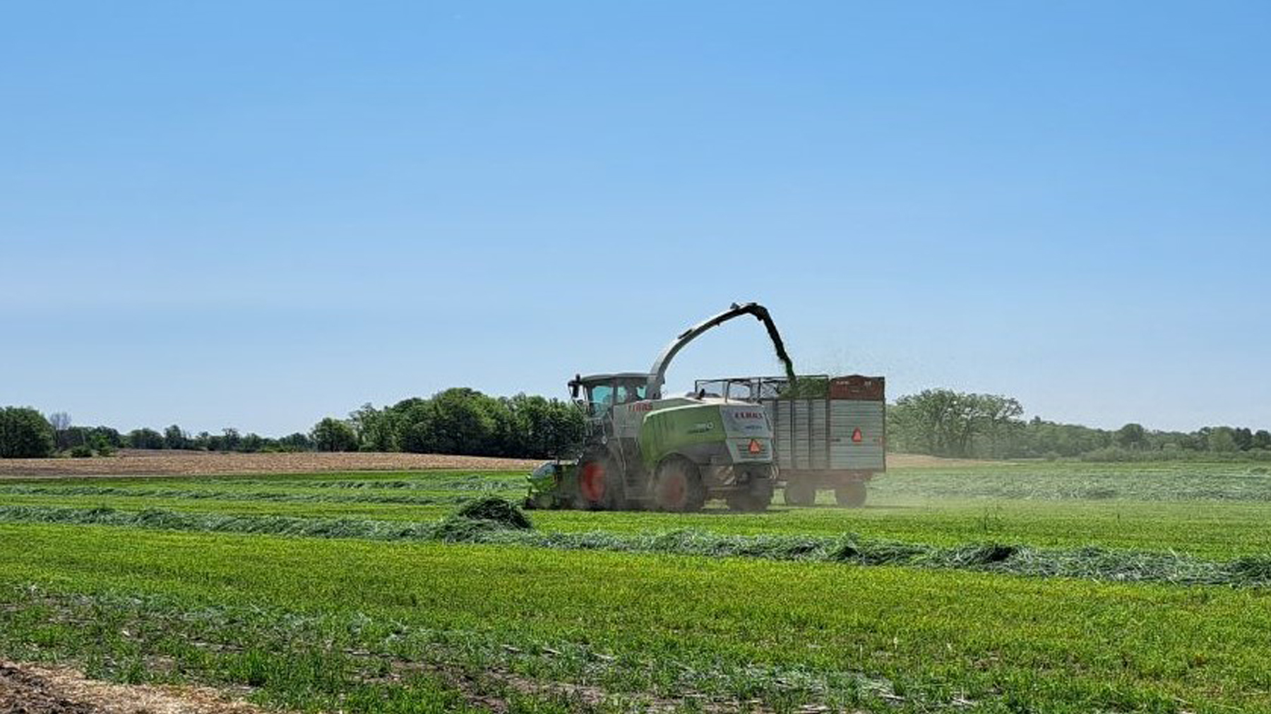 Home - Forage Box - Chopper Box - Repair - Sales - Inventory