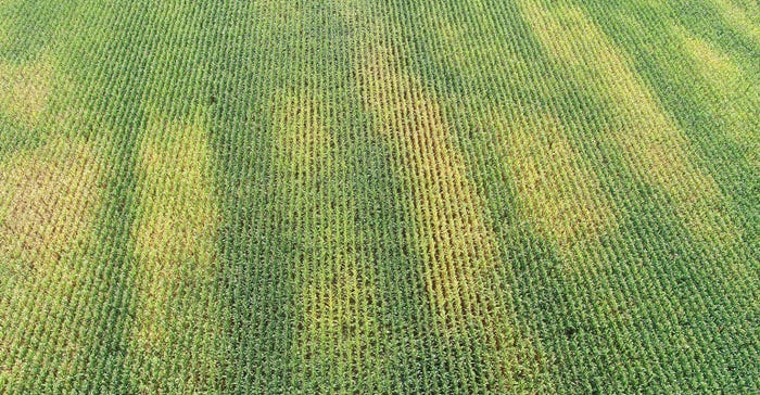 aerial image of cornfield with noticeable patterns