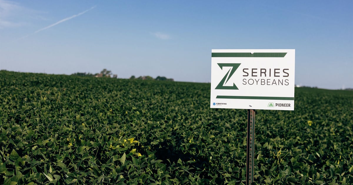Pioneer introduces ZSeries soybeans