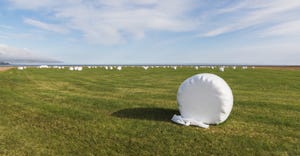 Hay bales wrapped in white plastic on grassy field 