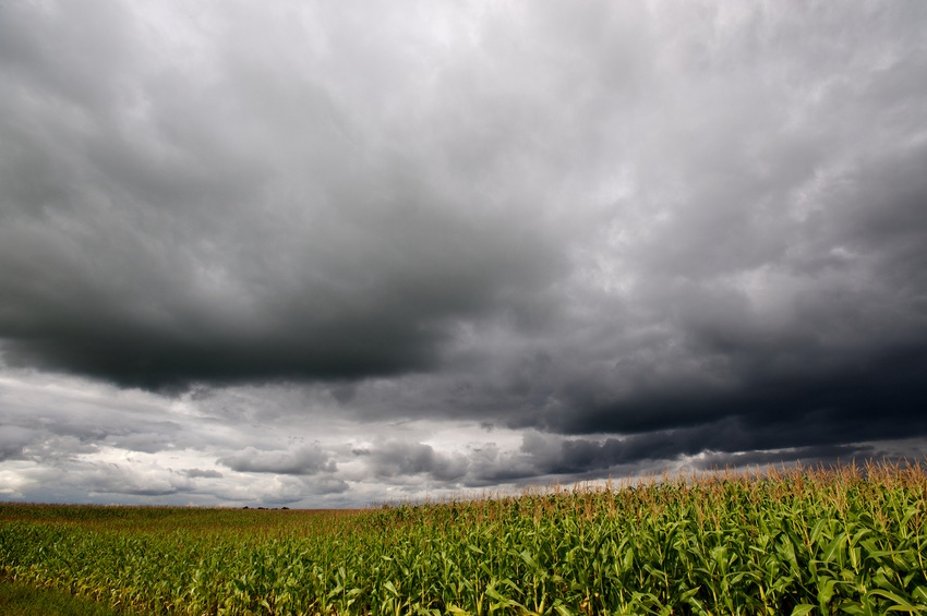 corn-field-rain-storm-182213028.jpg corn-field-rain-storm-182213028.jpg