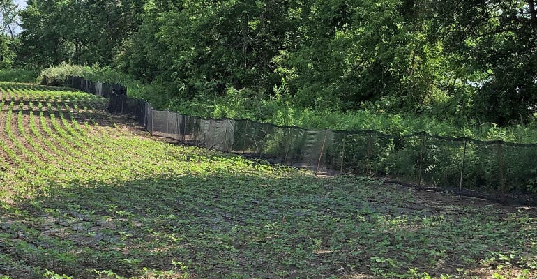 pyrethroid net system is positioned along a soybean field edge