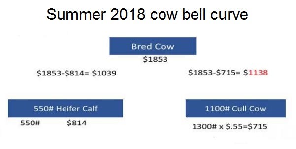 07107011-Summer-cow-bell-curve.jpg