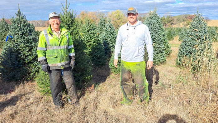 David Chapman and his father, Jim, left, standing amongst Christmas trees on their farm