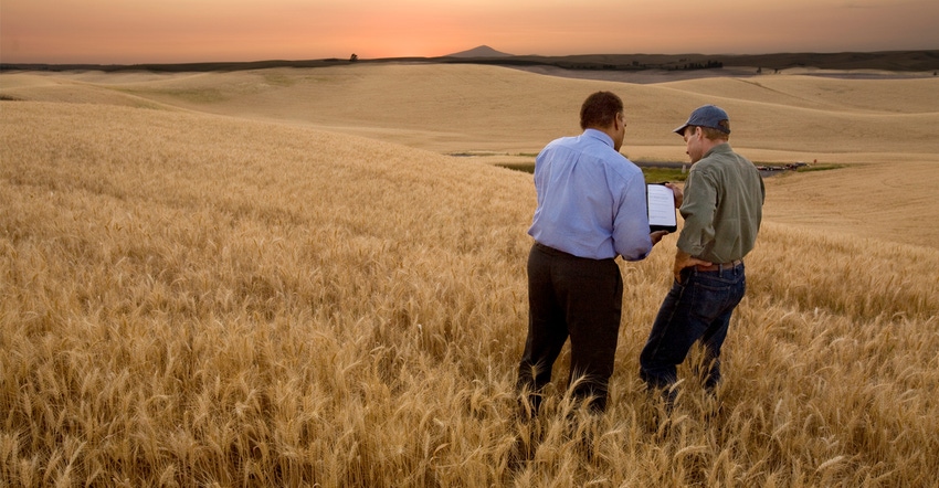 Farmer and grain buyer in field
