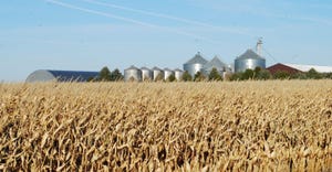 cornfield with silos in the background