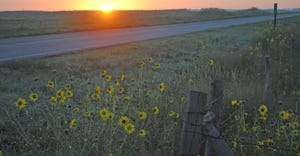 Fencepost with field and sunsetting in background