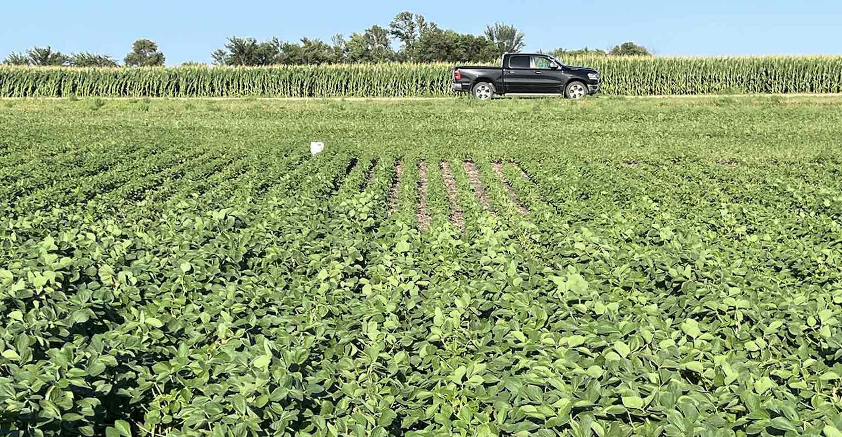 The top 3 benefits of using Atarrus™ in your tank mix