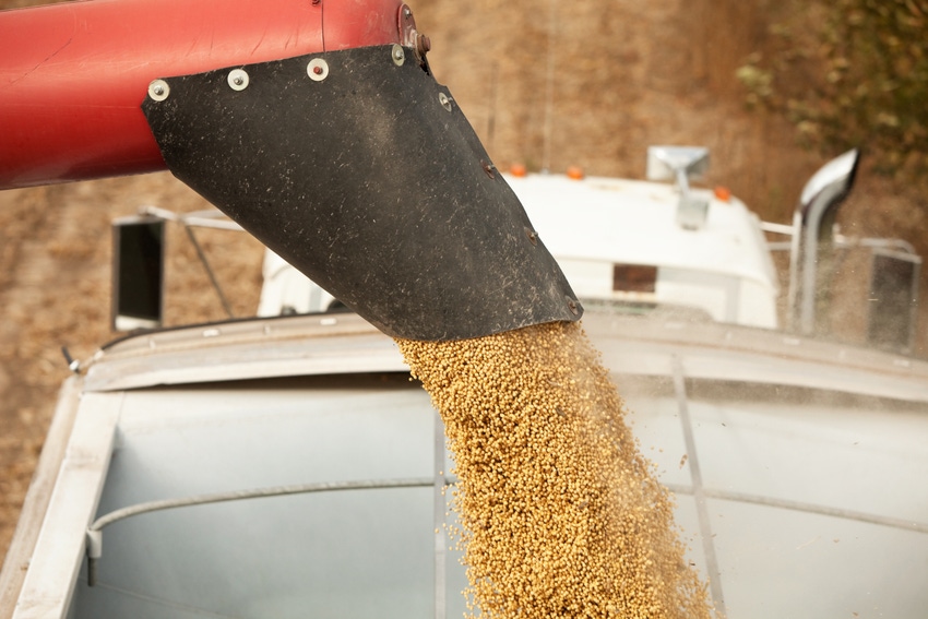 soybean trade with EU soybean trade with EU