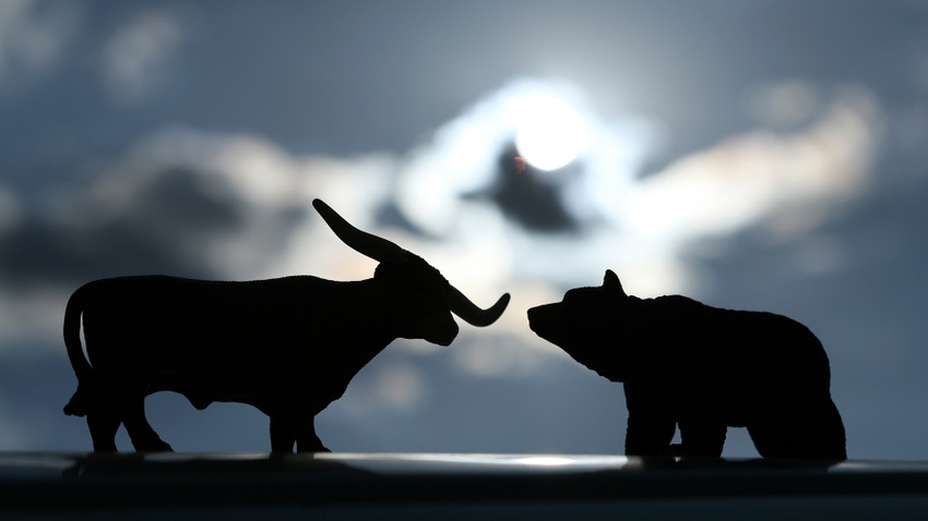 Silhouette of bull and bear against the sky