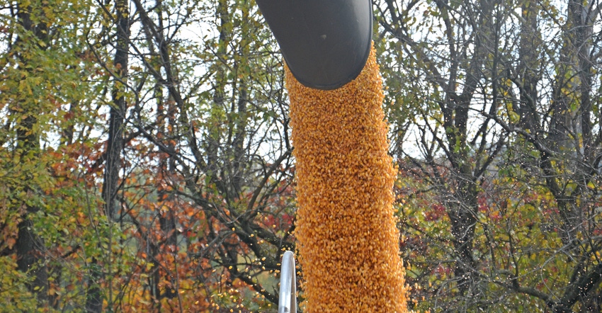 auger unloading corn