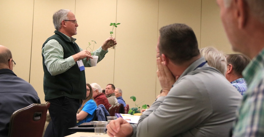 Daniel Bjorklund holds soybean plant