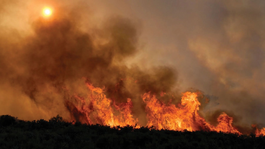 Wildfire Wildfire