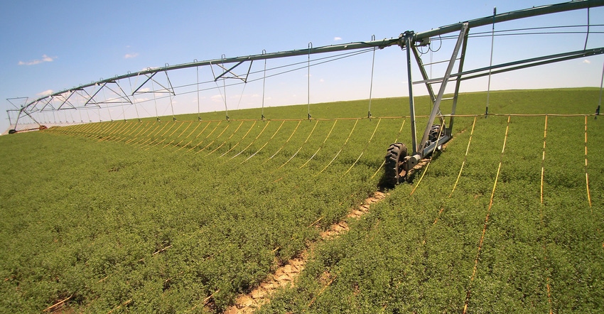 drip irrigation lines dropping from a center pivot 