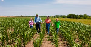 Midwestern grandmother and grandfather, farmers, walk hand-in-hand with grandchildren in a field of corn, on the family farm 