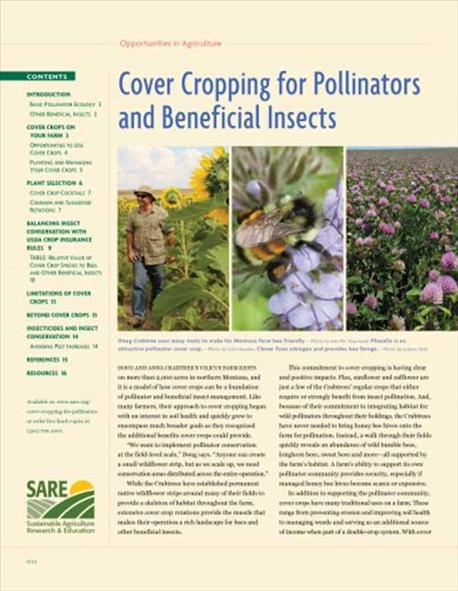 new_publication_helps_growers_pollinator_friendly_cover_crops_2_635902171701588000.jpg