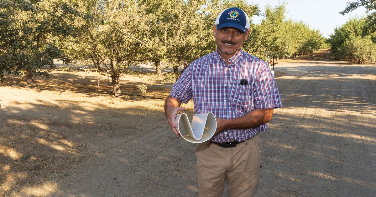 Irrigating almonds with inches, not feet of waterWhen California almond farmer Donny Hicks said he was using 10 acre inches of water to irrigate...