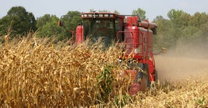 UTIA-Corn-Harvest.JPG