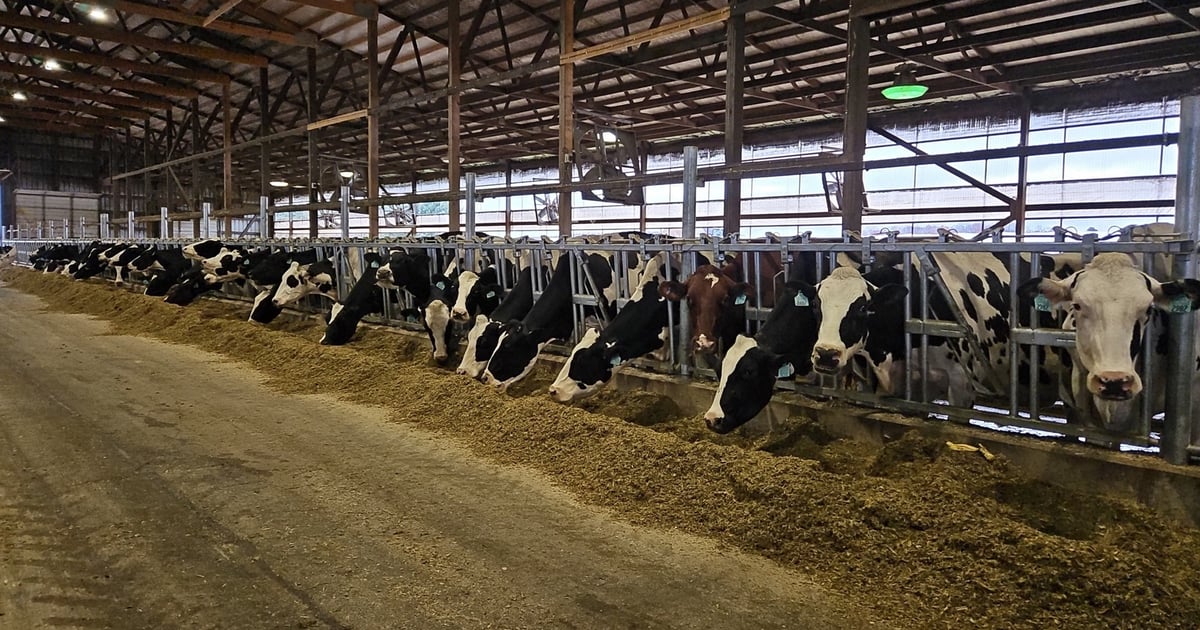 Butterfat production surge leads to price drop
