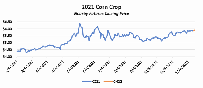 2021 corn crop nearby futures closing price