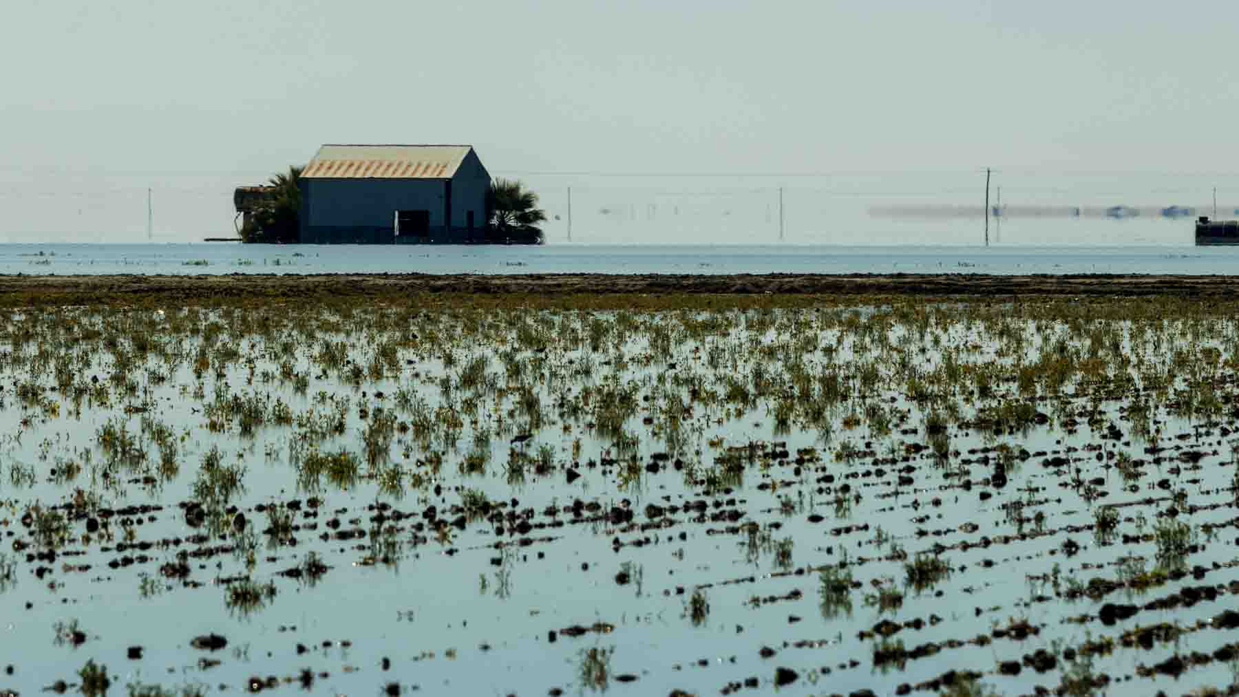 California’s water irony train is full