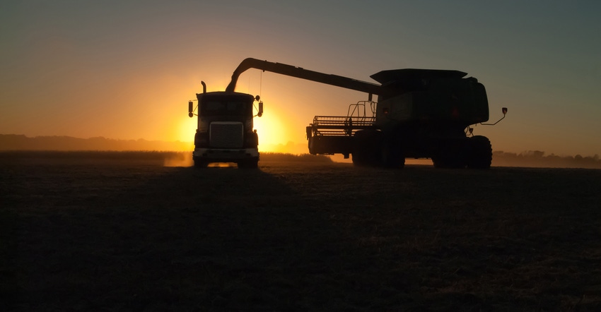 combine, auger and grain cart at sunset during soybean harvest