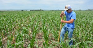 Sam Ireland in corn field with shovel